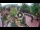 Webcam in Gatlinburg, Tennessee, 193.2 km