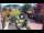 Webcam in Gatlinburg, Tennessee, 89.2 mi away