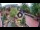 Webcam in Gatlinburg, Tennessee, 193.2 km
