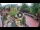 Webcam in Gatlinburg, Tennessee, 45.7 km
