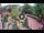 Webcam in Gatlinburg, Tennessee, 193.2 km
