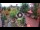 Webcam in Gatlinburg, Tennessee, 216.5 km