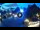 Webcam in Gatlinburg, Tennessee, 50.4 mi away