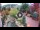 Webcam in Gatlinburg, Tennessee, 0.7 km