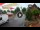 Webcam in Gatlinburg, Tennessee, 86.7 mi away