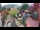 Webcam in Gatlinburg, Tennessee, 121.9 km