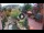 Webcam in Gatlinburg, Tennessee, 218.7 km