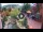 Webcam in Gatlinburg, Tennessee, 218.7 km