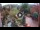 Webcam in Gatlinburg, Tennessee, 319.6 km