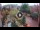 Webcam in Gatlinburg, Tennessee, 108.3 km