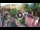 Webcam in Gatlinburg, Tennessee, 238 km