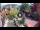 Webcam in Gatlinburg, Tennessee, 249.2 km