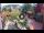 Webcam in Gatlinburg, Tennessee, 188.3 km
