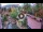 Webcam in Gatlinburg, Tennessee, 232 km