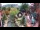 Webcam in Gatlinburg, Tennessee, 203.2 km