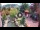 Webcam in Gatlinburg, Tennessee, 348.5 km