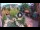 Webcam in Gatlinburg, Tennessee, 295 km
