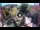 Webcam in Gatlinburg, Tennessee, 269.8 km