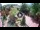 Webcam in Gatlinburg, Tennessee, 344 km