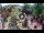 Webcam in Gatlinburg, Tennessee, 175.7 km