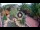 Webcam in Gatlinburg, Tennessee, 300.5 km