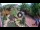 Webcam in Gatlinburg, Tennessee, 218.2 km