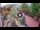 Webcam in Gatlinburg, Tennessee, 223.1 km