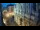 Webcam in Venice, 0.3 mi away