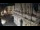 Webcam in Venice, 0.3 mi away