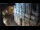 Webcam in Venecia, 0.5 km