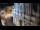 Webcam in Venedig, 0.6 km entfernt