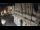 Webcam in Venice, 3.4 mi away