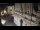Webcam in Venezia, 11.9 km