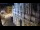 Webcam in Venise, 0.5 km