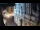 Webcam in Venise, 33.8 km