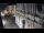 Webcam in Venice, 0.2 mi away