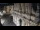 Webcam in Venice, 9.4 mi away