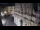 Webcam in Venice, 11.7 mi away