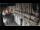 Webcam in Venice, 0.2 mi away