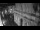 Webcam in Venice, 0.6 mi away