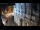 Webcam in Venedig, 0.6 km entfernt