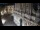 Webcam in Venezia, 1.1 km