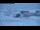 Webcam in Showa Station, 552.8 mi away