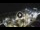 Webcam in Puerto de la Cruz (Tenerife), 0.2 mi away