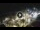 Webcam in Puerto de la Cruz (Ténérife), 0.4 km