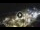 Webcam in Puerto de la Cruz (Tenerife), 4.8 km