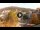 Webcam in Baden-Baden, 12.1 mi away
