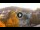 Webcam in Baden-Baden, 11.5 mi away