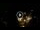 Webcam in Baden-Baden, 18 mi away