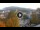 Webcam in Baden-Baden, 29.8 km entfernt